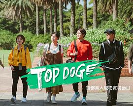 草莓视频《TOP DOG》免费在线观看