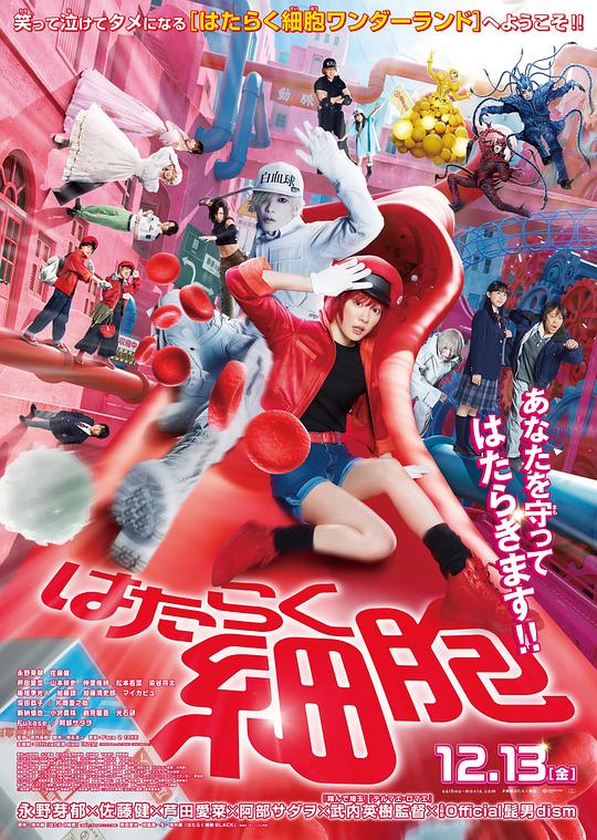 草莓社区《工作细胞 真人版 はたらく細胞》免费在线观看