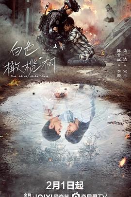 草莓视频官网《白色橄榄树》免费在线观看