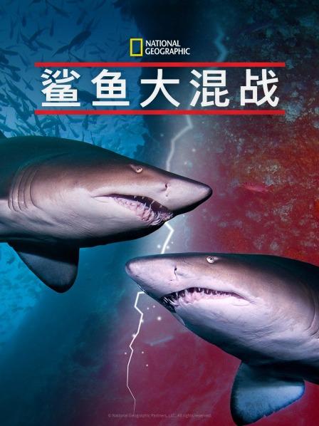 草莓视频《鲨鱼大混战》免费在线观看