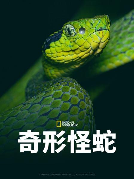草莓视频官网《奇形怪蛇》免费在线观看